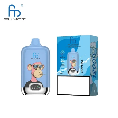 Come far durare più a lungo la tua Fumot Digital Box 12000: 5 consigli degli ...