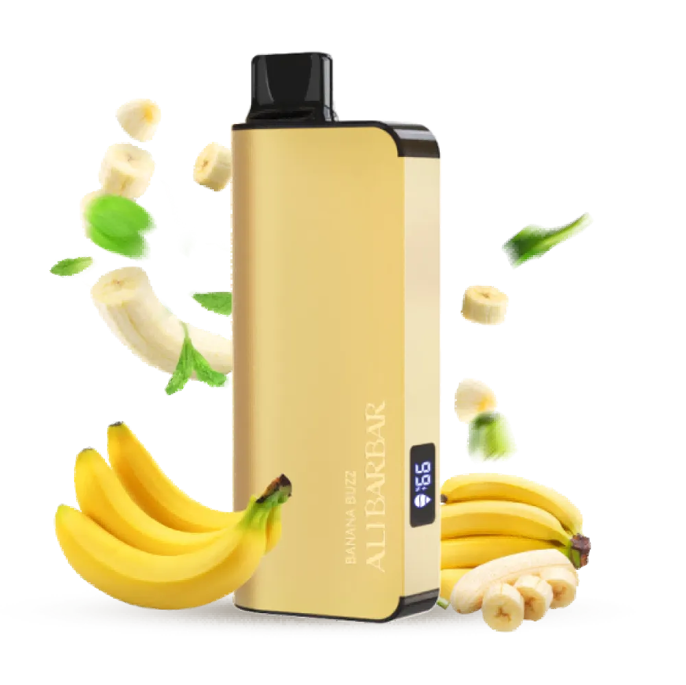ALIBARBAR INGOT 9000 Puffs Disposable Vape price