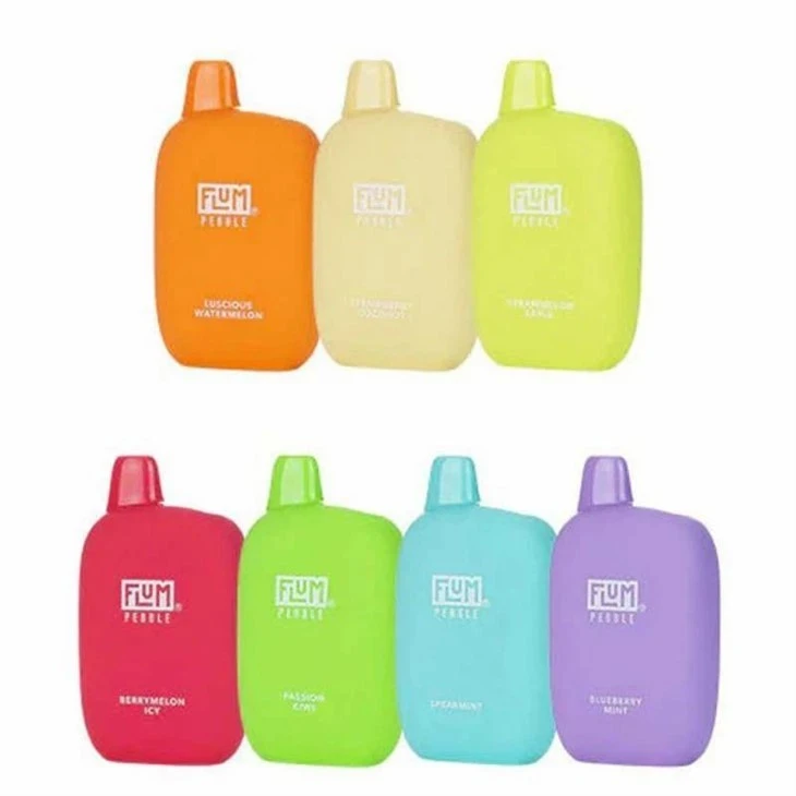 FLUM Pebble 6000 Puffs Disposable Vape factory